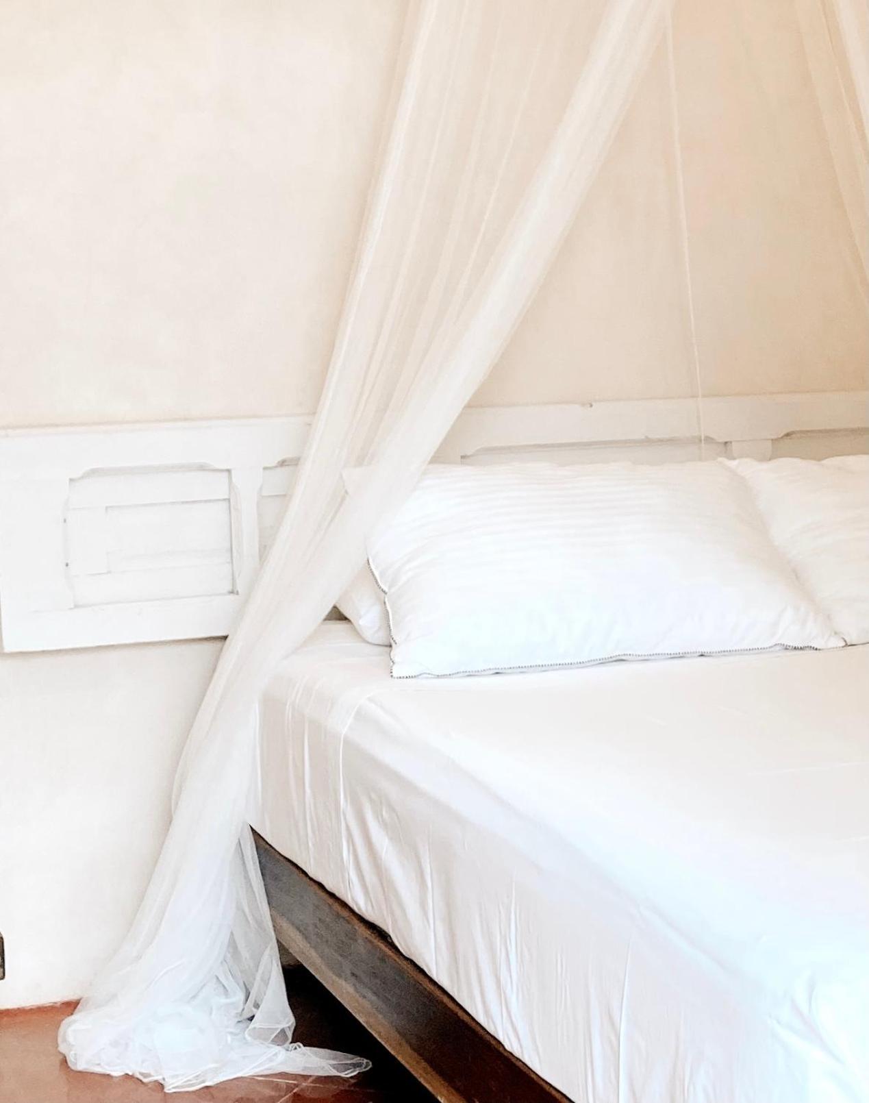 Hotel Boutique Kaa 메리다 외부 사진