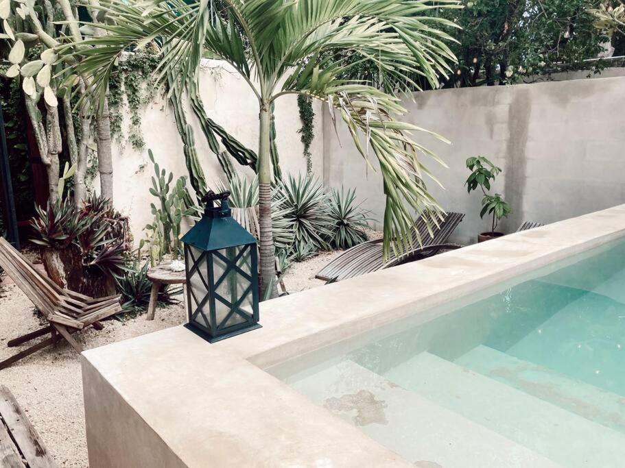 Hotel Boutique Kaa 메리다 외부 사진