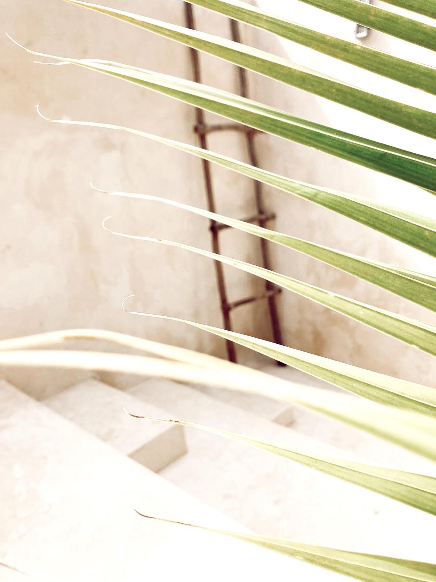 Hotel Boutique Kaa 메리다 외부 사진